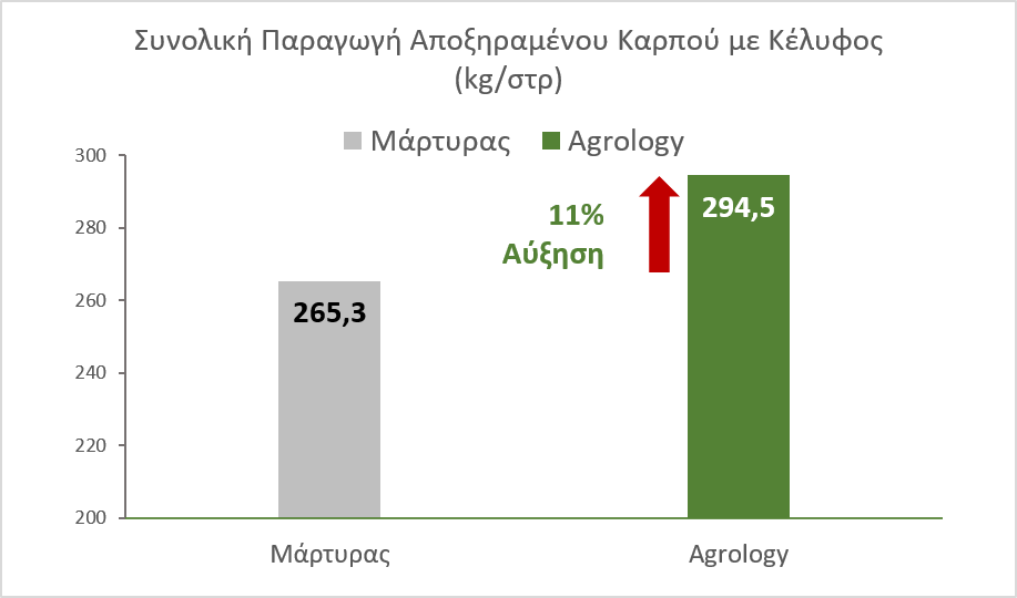 Εικόνα 2. Συνολική Παραγωγή Αποξηραμένου Καρπού με Κέλυφος (kg/στρ.). Με την εφαρμογή του προγράμματος Agrology, επετεύχθη αύξηση της συνολικής παραγωγής κατά 29,2 kg/στρ. (+11%), συγκριτικά με τον Μάρτυρα.