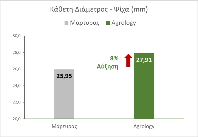 Εικόνα 7. Κάθετη Διάμετρος - Ψίχα (mm). Με την εφαρμογή του προγράμματος Agrology, επετεύχθη αύξηση της Κάθετης Διαμέτρου ψίχας κατά 1,96 mm (+8%), συγκριτικά με τον Μάρτυρα.