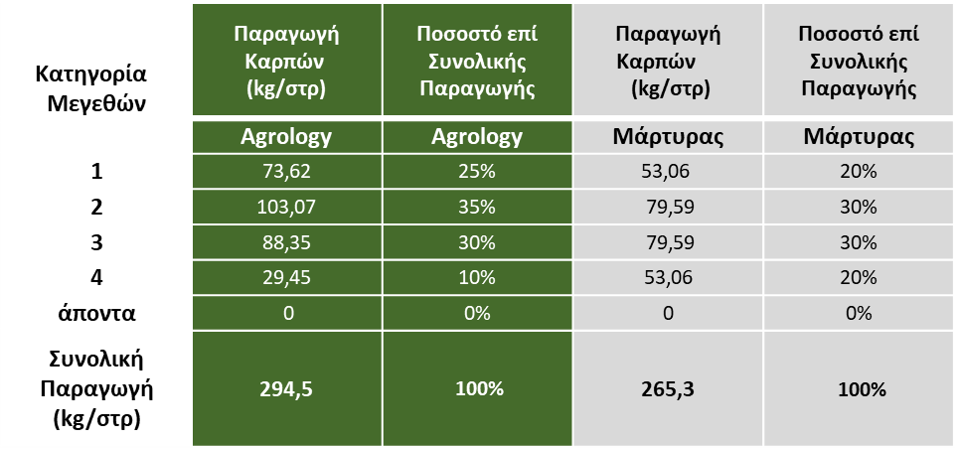 Πίνακας 1. Κατάταξη Παραγωγής σε Κατηγορίες Μεγεθών. Το πρόγραμμα Agrology αύξησε την παραγωγή μεγαλύτερου μεγέθους καρπών (κατηγορία 1 και 2), σε ποσοστά 25% & 35% αντίστοιχα, μειώνοντας κατά 10% το ποσοστό στην κατηγορία 4 με μικρότερου μεγέθους καρπούς, συγκριτικά με το Μάρτυρα ο οποίος στις Κατηγορίες 1 & 2 εμφάνισε 20% & 30% αντίστοιχα.