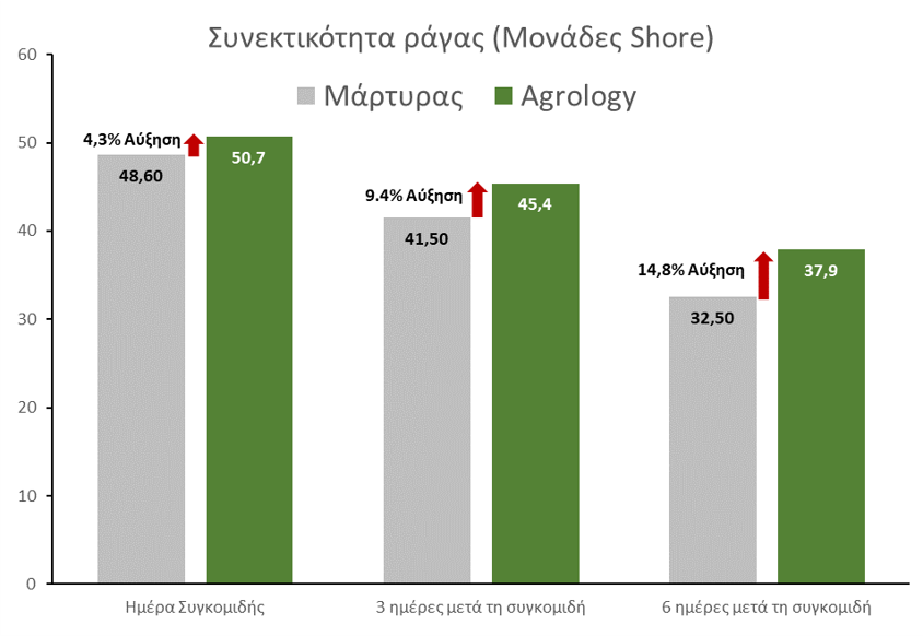 Εικόνα 17. Συνεκτικότητα Ραγών. Με την εφαρμογή του Προγράμματος Agrology, επιτεύχθηκε αύξηση συνεκτικότητας ραγών του τσαμπιού κατά 14,8%, συγκριτικά με τον Μάρτυρα.