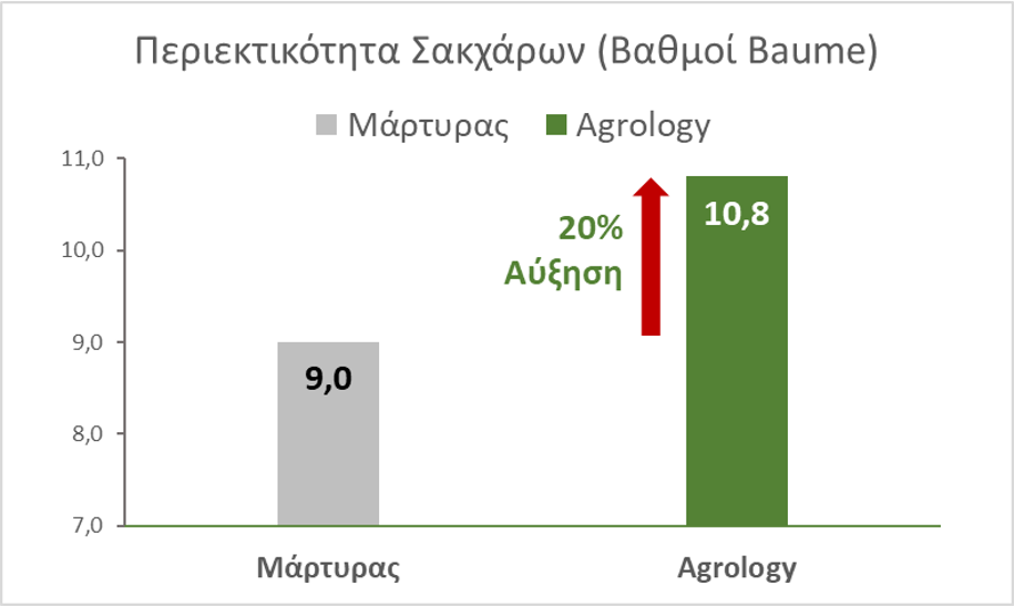Εικόνα 8. Περιεκτικότητα Σακχάρων Ραγών. Με την εφαρμογή του Προγράμματος Agrology, επιτεύχθηκε αύξηση περιεκτικότητας σακχάρων ραγών κατά 20%, συγκριτικά με τον Μάρτυρα.