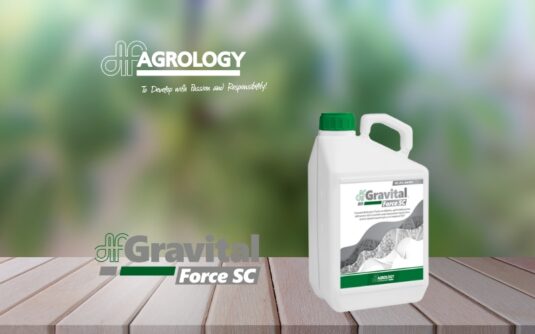 gravital force Cover for GR website blog post gr