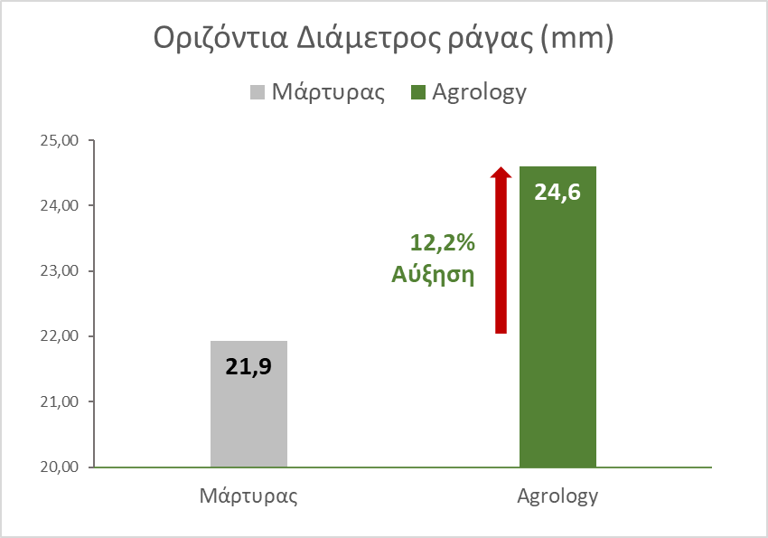 Εικόνα 10. Οριζόντια Διάμετρος. Με την εφαρμογή του προγράμματος Agrology, επιτεύχθηκε αύξηση κατά μέσο όρο 2,67 mm (+12,2%) της Οριζόντιας διαμέτρου των ραγών, συγκριτικά με το Μάρτυρα.