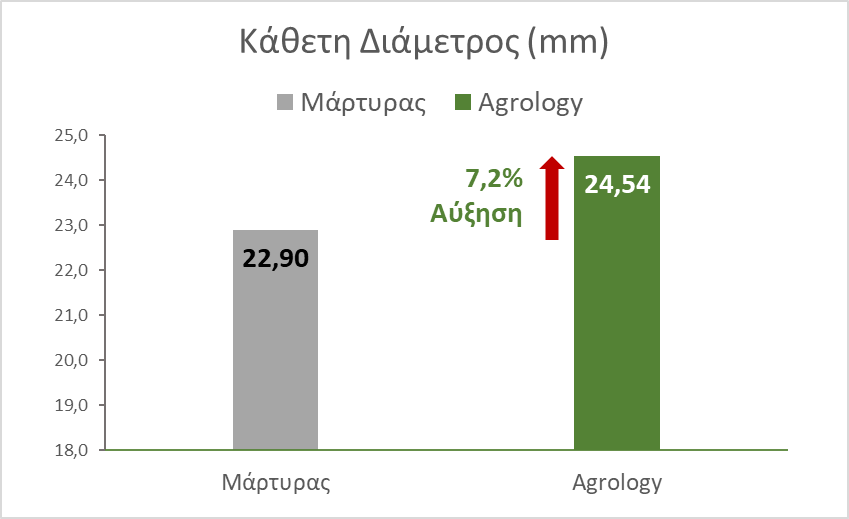 Εικόνα 4. Κάθετη Διάμετρος Καρπού (mm). Με την εφαρμογή του προγράμματος Agrology, επιτεύχθηκε αύξηση της κάθετης διαμέτρου καρπού κατά 1,64 mm. (+7,2%), συγκριτικά με τον Μάρτυρα.
