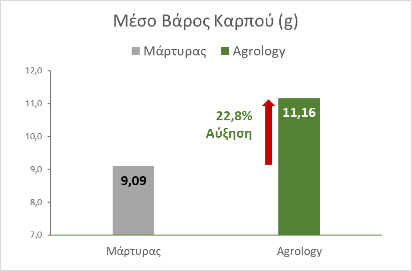 Εικόνα 6. Μέσο Βάρος Καρπού (g). Με την εφαρμογή του προγράμματος Agrology, επιτεύχθηκε αύξηση του μέσου βάρους καρπού κατά 2,07 g (+22,8%), συγκριτικά με τον Μάρτυρα.
