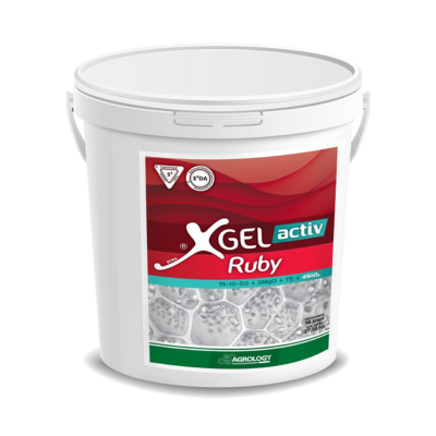 xgel active ruby product photo