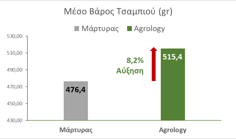 Μέσο Βάρος Τσαμπιού Οινοποιήσιμο Σταφύλι