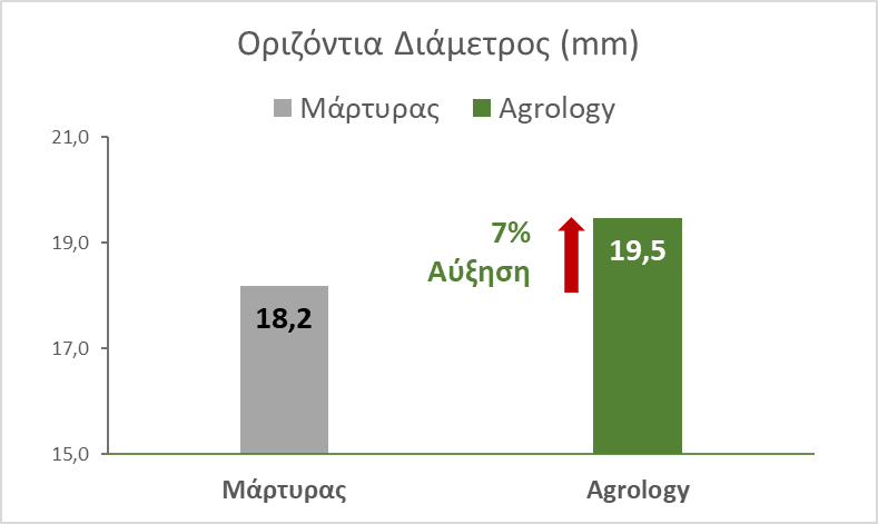 Οριζόντια-Διάμετρος-mm-Οινοποιήσιμο-Σταφύλι