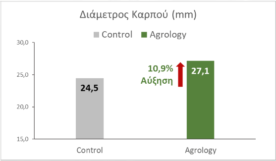 Εικόνα 2. Αύξηση της Διαμέτρου Καρπού κατά 10,9% (+2,66 mm)