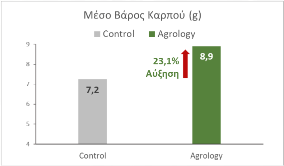Εικόνα 4. Αύξηση του Μέσου Βάρους Καρπού κατά 23,1% (+1,67 g)