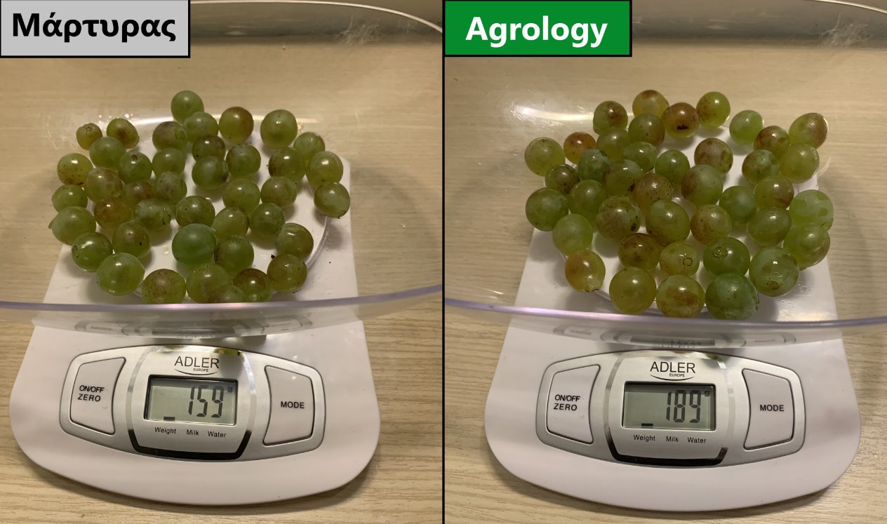 Βάρος 40 Ραγών