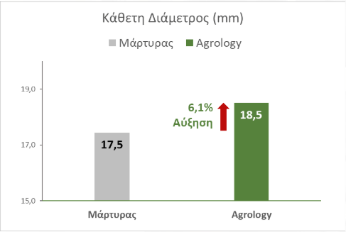 Κάθετη-Διάμετρος-mm-Οινοποιήσιμο-Σταφύλι
