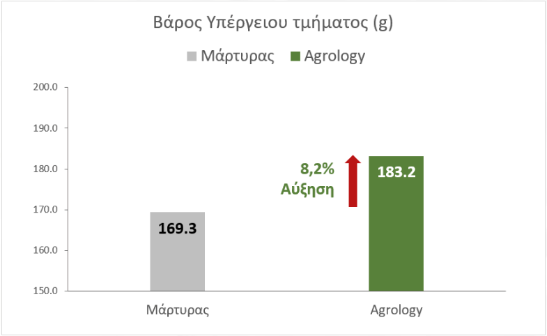 Μέσο Βάρος Υπέργειου τμήματος (g) - Θερμοκηπιακό Μαρούλι