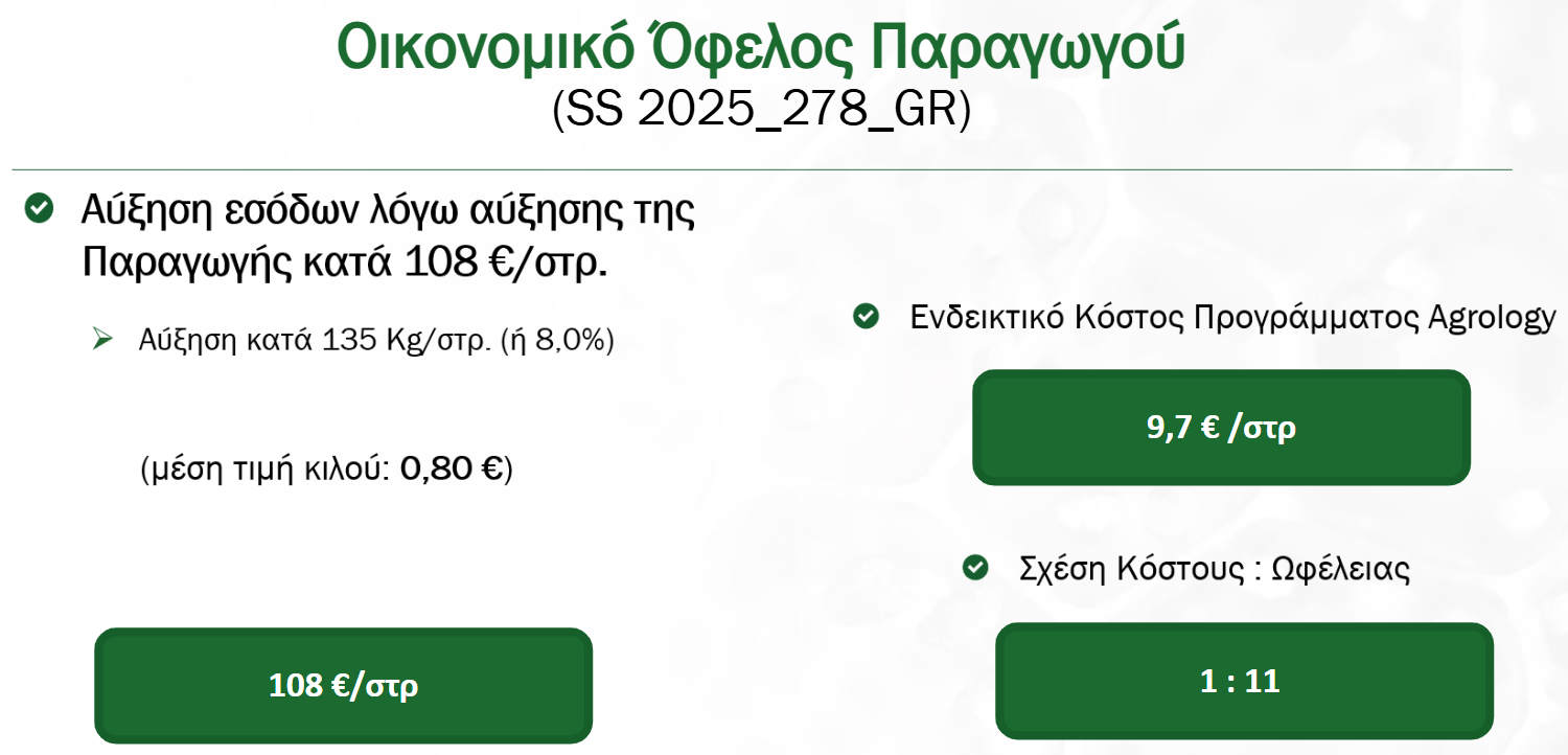 Οικονομικό Όφελος Παραγωγού​ - Θερμοκηπιακό Μαρούλι, 108€/στρέμμα