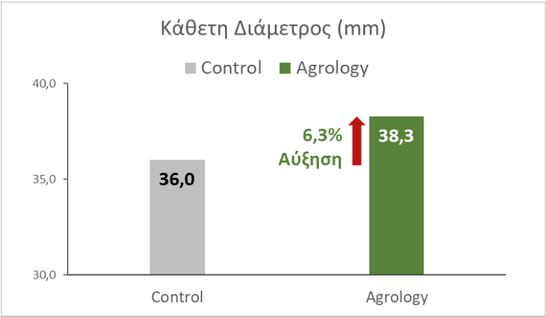 Αύξηση Κάθετης Διαμέτρου (cm) +6,3% ή 2,3 mm