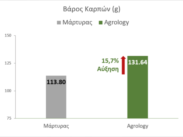 Αύξηση Μέσου Βάρους Καρπού +15,7% ή 17,84 g​
