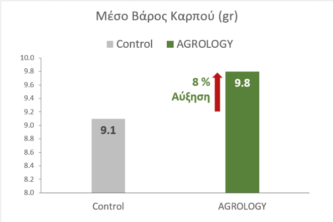 Αύξηση Μέσου Βάρους Καρπών​ Βιομηχανικής Πιπεριάς + 0.7 g ή 8 %