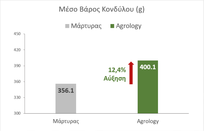 Αύξηση Μέσου Βάρους Κονδύλου +12,4% ή 44 g​