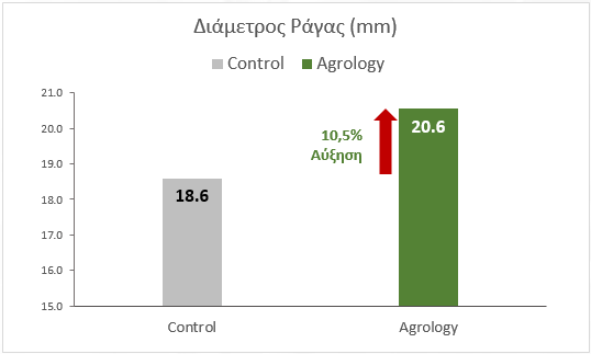 Αύξηση κατά 1,95 mm (+10,5%) της διαμέτρου της ράγας, συγκριτικά με το Μάρτυρα