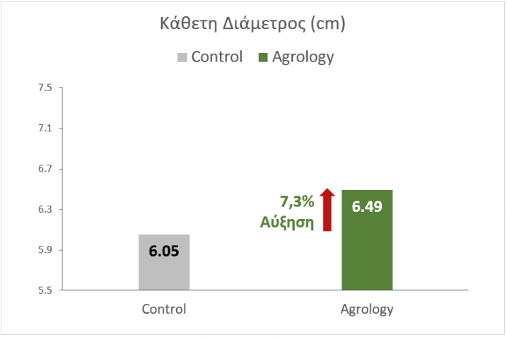 Κάθετη Διάμετρος (cm) - Μέγεθος Βολβών Κρεμμυδιού 7,3%