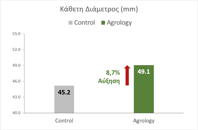 Κάθετη Διάμετρος (mm). Με την εφαρμογή του Προγράμματος Agrology, επετεύχθη αύξηση της κάθετης διαμέτρου (mm) κατά 8,7%, συγκριτικά με τον Μάρτυρα
