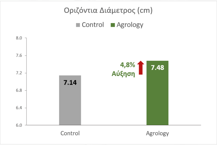 Οριζόντια Διάμετρος (cm) - Μέγεθος Βολβών Κρεμμυδιού 4,8% αύξηση