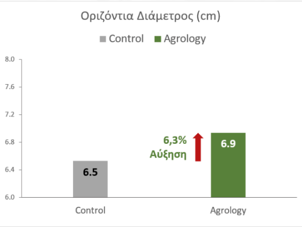 Οριζόντια διάμμετρος - Πατάτα spunta - Αύξηση 6,3%