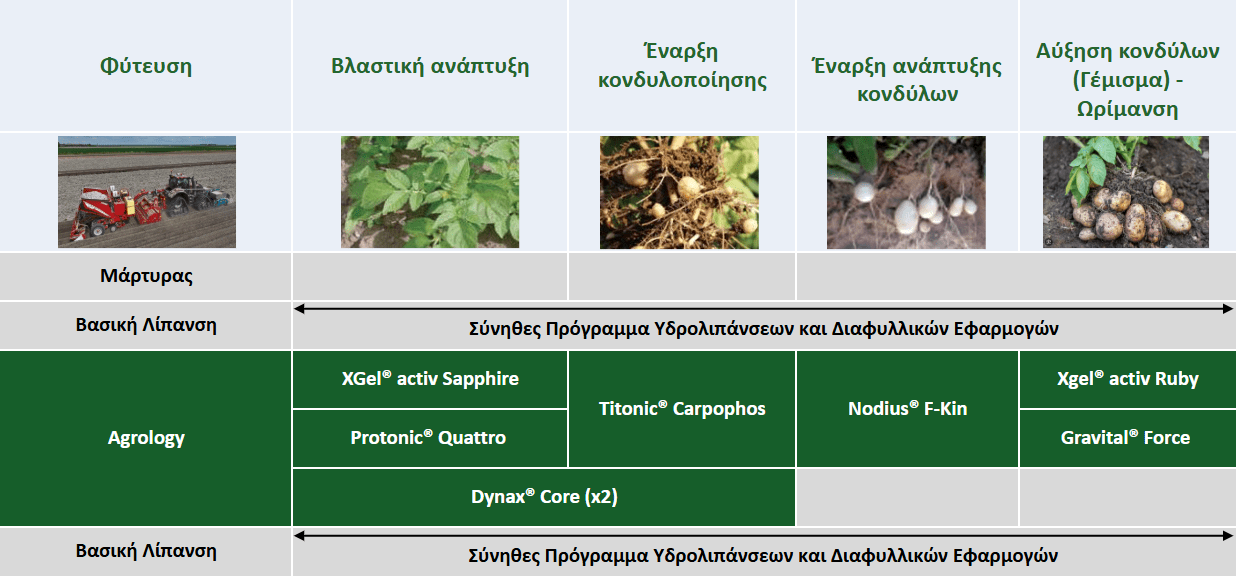 Πρόγραμμα Θρέψης​ - Πρόγραμμα Επεμβάσεων - Βλαστικό Στάδιο​ - Πατάτα Spunta