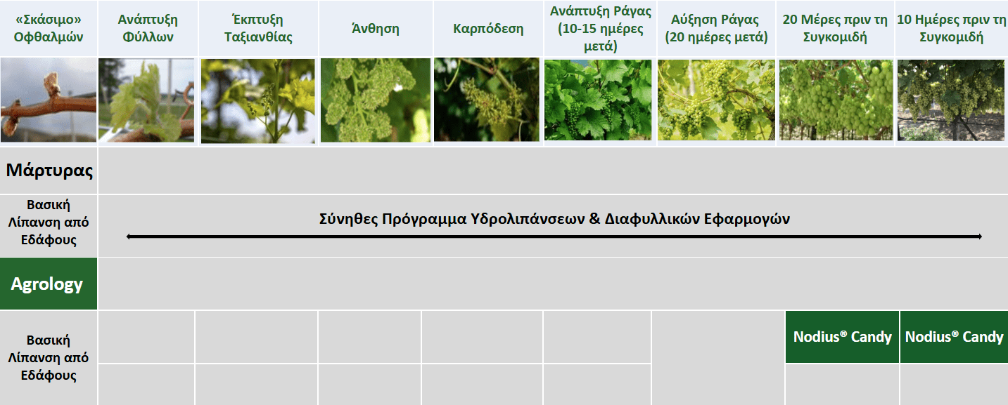 Πρόγραμμα Λειτουργικής Θρέψης Καλλιεργειών® - Επιτραπέζιο Σταφύλι - Nodius® Candy