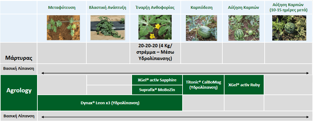 Πρόγραμμα Λειτουργικής Θρέψης Καλλιεργειών® Καρπουζιού Florida