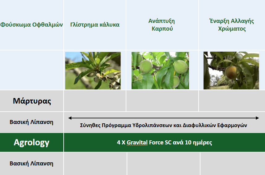 Πρόγραμμα Λειτουργικής Θρέψης Καλλιεργειών® - Ροδάκινο UFO