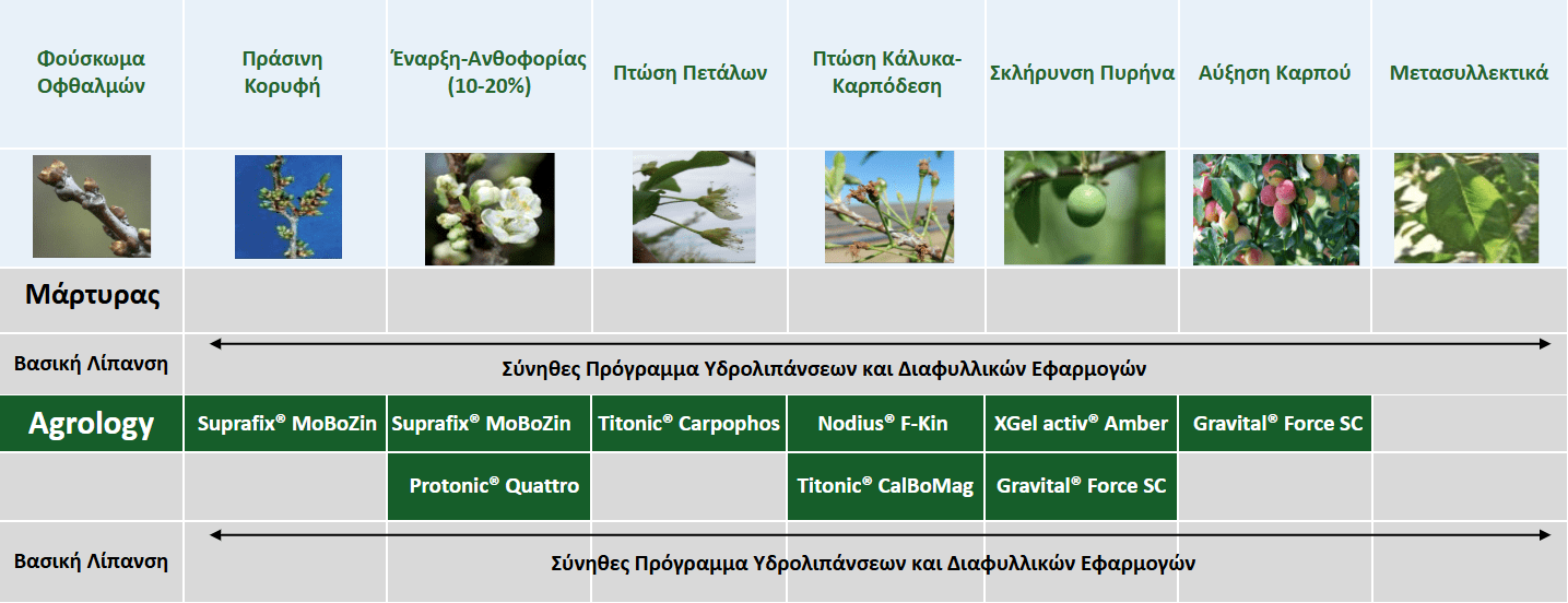 Πρόγραμμα Λειτουργικής Θρέψης Καλλιεργειών® – Δαμάσκηνο ​​