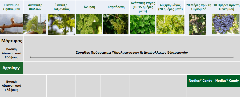 Πρόγραμμα Λειτουργικής Θρέψης Καλλιεργειών® – Επιτραπέζιο Σταφύλι