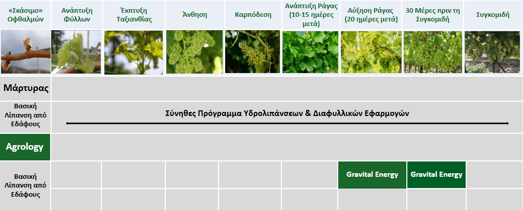 Πρόγραμμα Λειτουργικής Θρέψης Καλλιεργειών® – Οινοποιήσιμο Σταφύλι