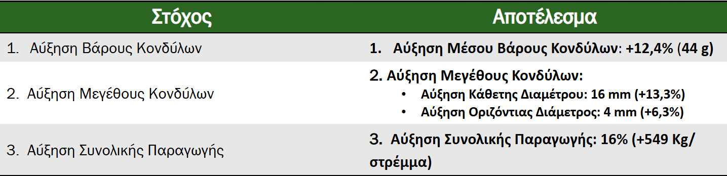 Σύνοψη Αποτελεσμάτων​ Success story στην Πατάτα spunta