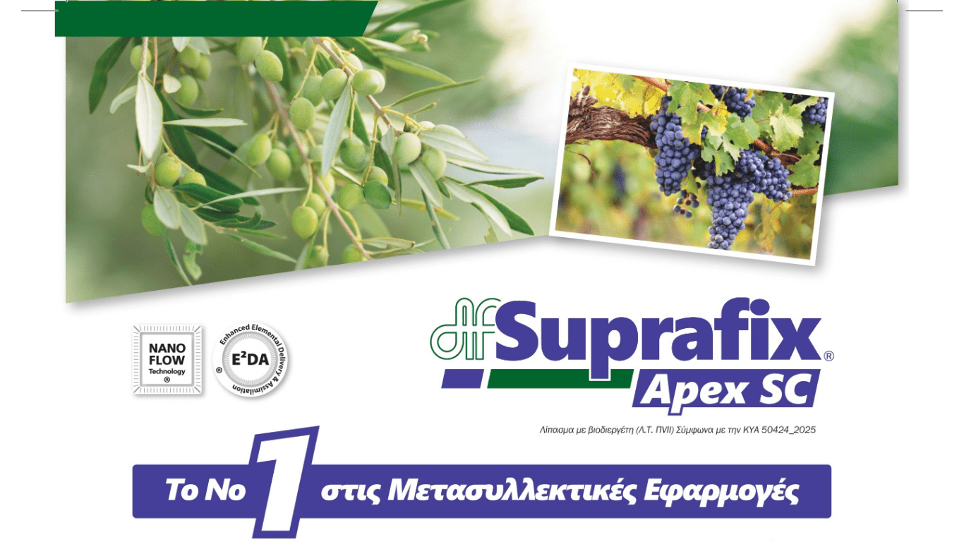 Suprafix® Apex SC - Blogpost Cover