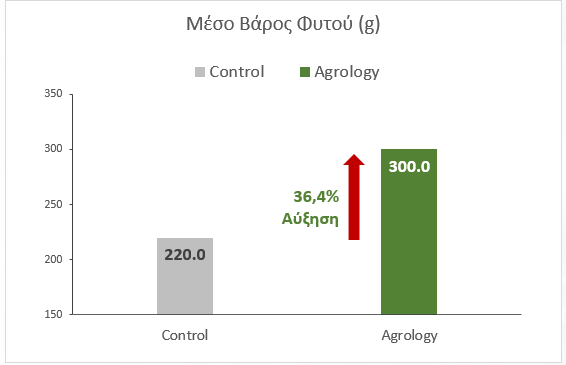 Εικόνα 8. Μέσο Βάρος Φυτού (g). Με την εφαρμογή του Προγράμματος Agrology, επιτεύχθηκε αύξηση του μέσου βάρους φυτού κατά 80 g (+36,4%), συγκριτικά με τον Μάρτυρα.