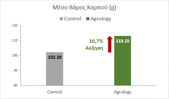 Διάγραμμα 3. Μέσο Βάρος Καρπών (g). Με την εφαρμογή του Προγράμματος Agrology, επιτεύχθηκε αύξηση του μέσου βάρους καρπών κατά 10,95 g (+10,7%), συγκριτικά με τον Μάρτυρα.