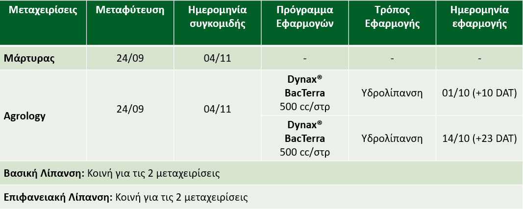 Πρόγραμμα Θρέψης Καλλιεργειών – Μαρούλι Υπαίθρου​​