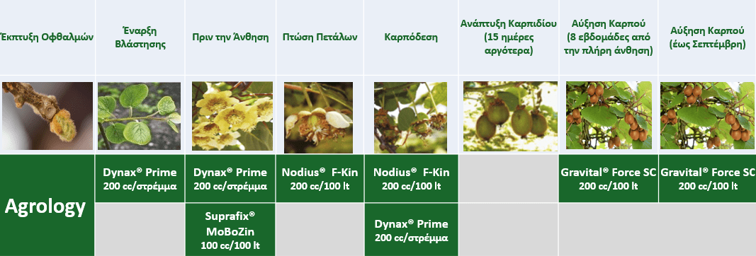 Πρόγραμμα Λειτουργικής Θρέψης Καλλιεργειών® – Ακτινίδιο (SS 2025_211_GR)