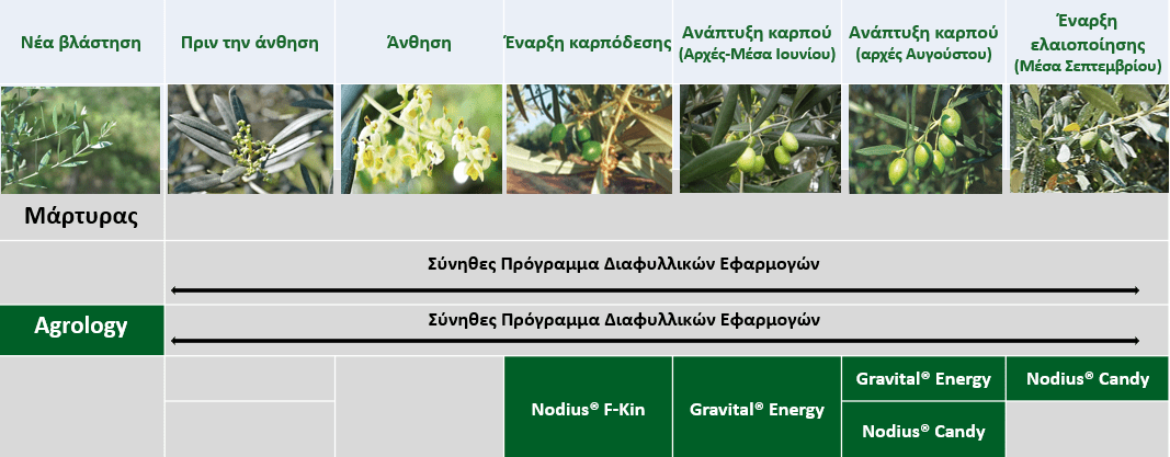 Εικόνα 1. Πρόγραμμα Λειτουργικής Θρέψης Καλλιεργειών® – Ελαιοποιήσιμη Ελιά