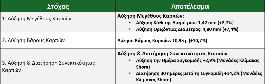 Σύνοψη Αποτελεσμάτων (SS 2025_211_GR)