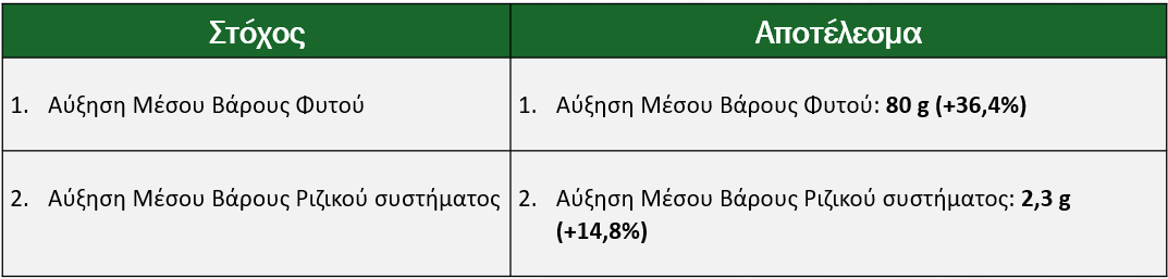 Σύνοψη Αποτελεσμάτων (SS 2025_344_GR)