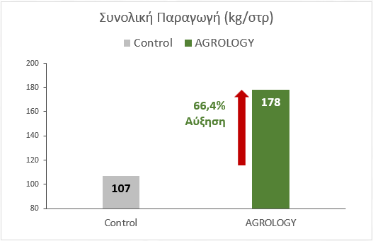 Εικόνα 2. Συνολική Παραγωγή (kg/στρ.)