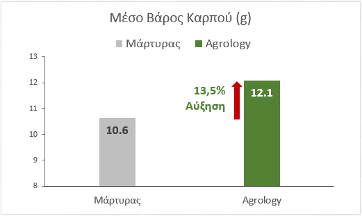Εικόνα 6. Μέσο Βάρος Καρπού (g). Με την εφαρμογή του προγράμματος Agrology, επιτεύχθηκε αύξηση του μέσου βάρους καρπού κατά 1,44 g (+13,5%), συγκριτικά με τον Μάρτυρα.