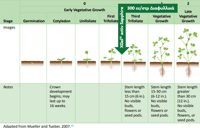 Εικόνα 1. Πρόγραμμα Θρέψης – Μηδική