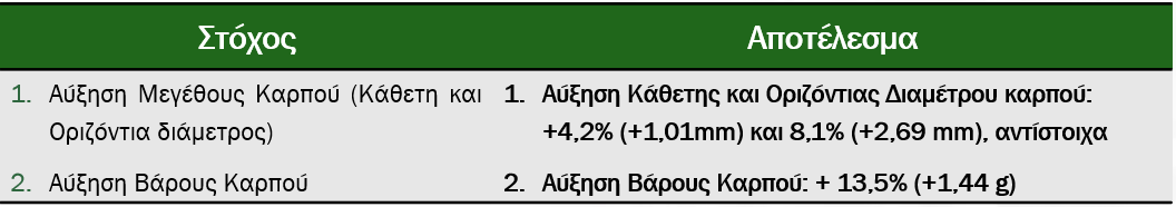 Σύνοψη Αποτελεσμάτων (SS 2025_273_GR)