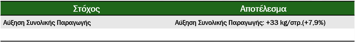 Σύνοψη Αποτελεσμάτων (SS 2025_311_GR)