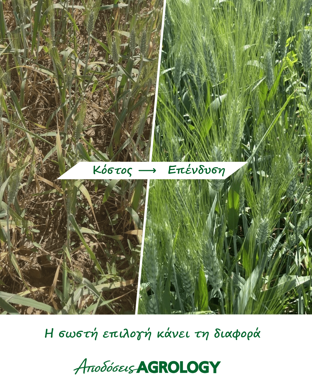 Κόστος ή Επένδυση; Η σωστή επιλογή κάνει τη διαφορά