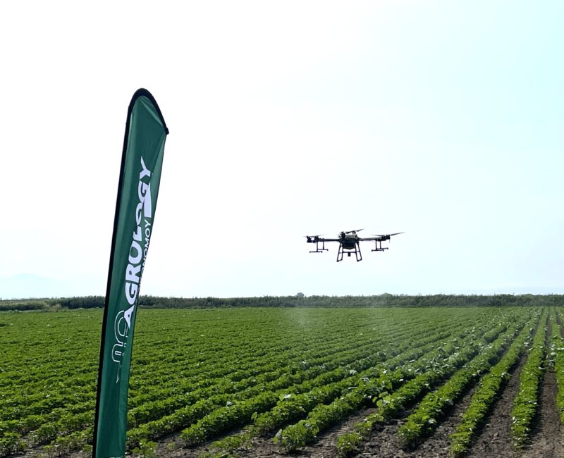Drones Ψεκασμού και Σκευάσματα Θρέψης: Ακρίβεια, Ταχύτητα, Αποδοτικότητα